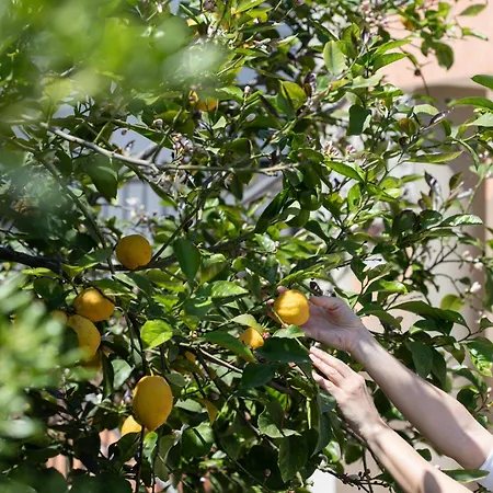 Rodi Διαμέρισμα *