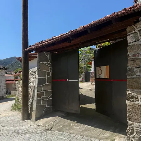 Rodi * Sykia Chalkidikis