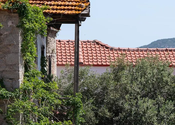 Rodi * Sykia Chalkidikis