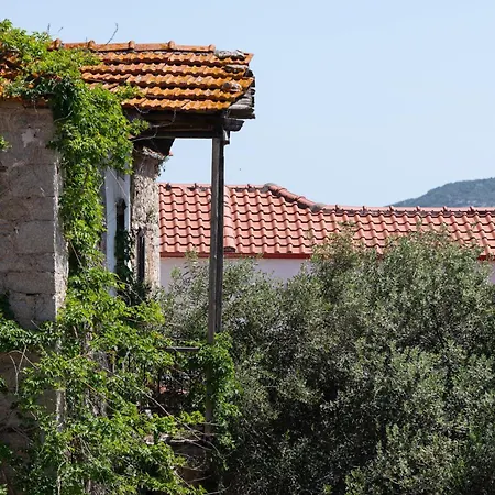 Rodi * Sykia Chalkidikis